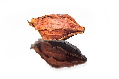 《女主角忍法帖 姫影・壹》登陆Steam 美少女大战蚁人